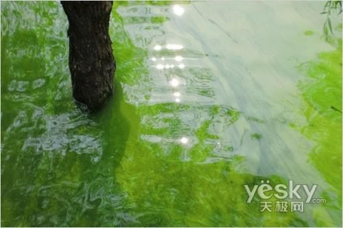 太空小丑平安著陸 智能長焦數(shù)碼相機推薦