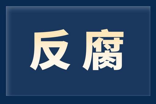河南省委巡視組原正廳級巡視專員張光明被開除黨籍