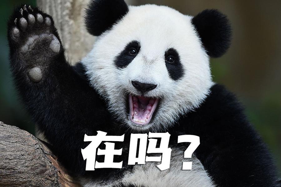 【世界微笑日特刊】嘿嘿，今天你笑了嗎？