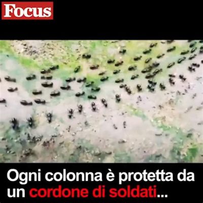 Termiti: Un Esercito di Operai Invisibili che Scolpisce la Terra!