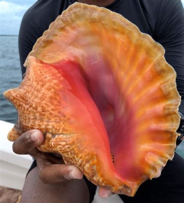  Queen Conch! A Shelled Wonder Hiding Secrets Beneath Turquoise Waters